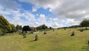 Photo 18- click for photo gallery